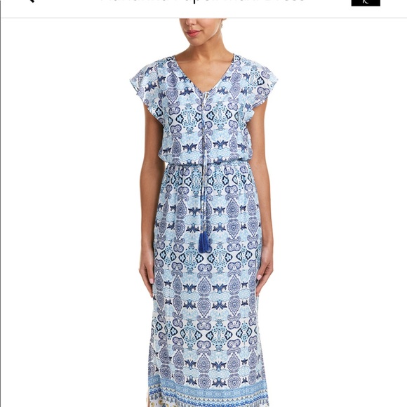 adrianna papell maxi dress